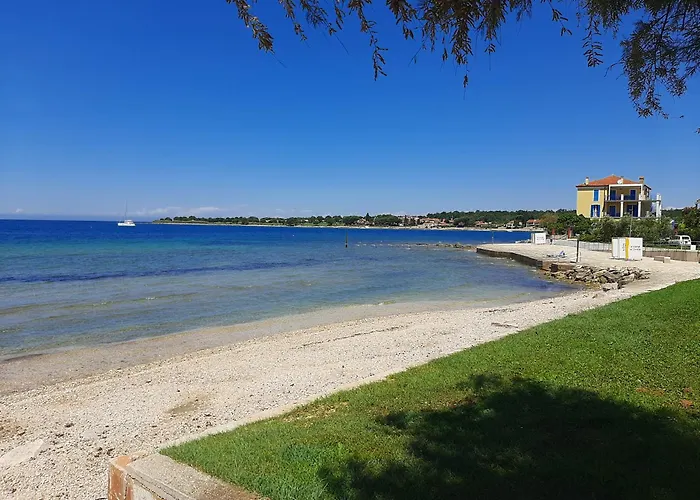Apartman Alba
